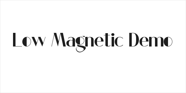 Low Magnetic Demo Logo