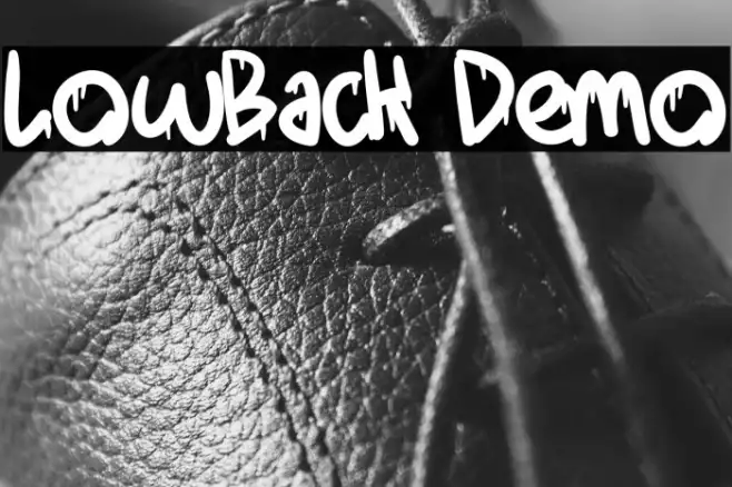 LowBack Demo Example 2