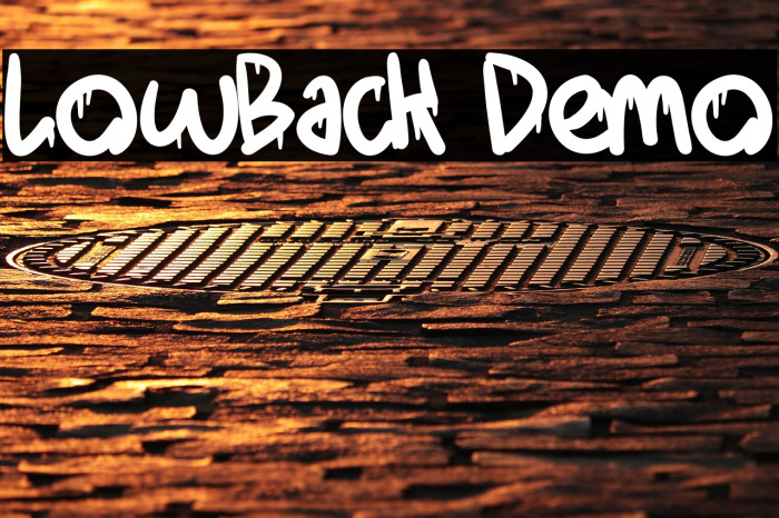 LowBack Demo Example 3