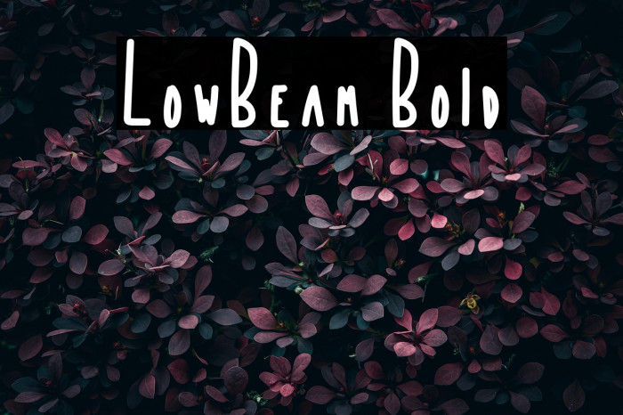 LowBeam Bold Example 1