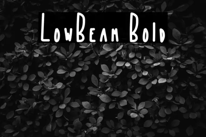 LowBeam Bold Example 1