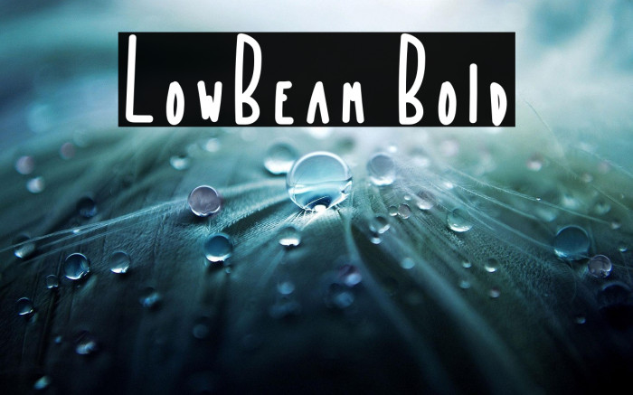 LowBeam Bold Example 2