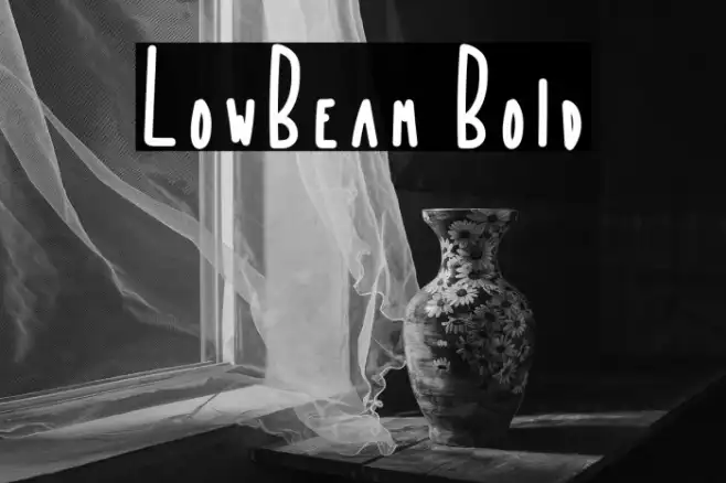 LowBeam Bold Example 3