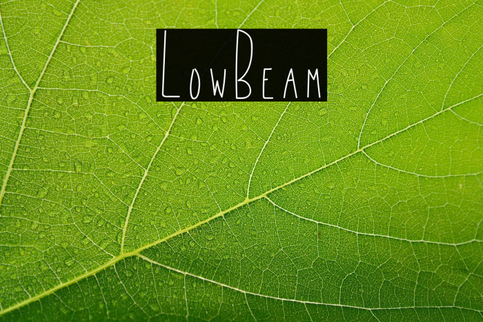 LowBeam Example 1