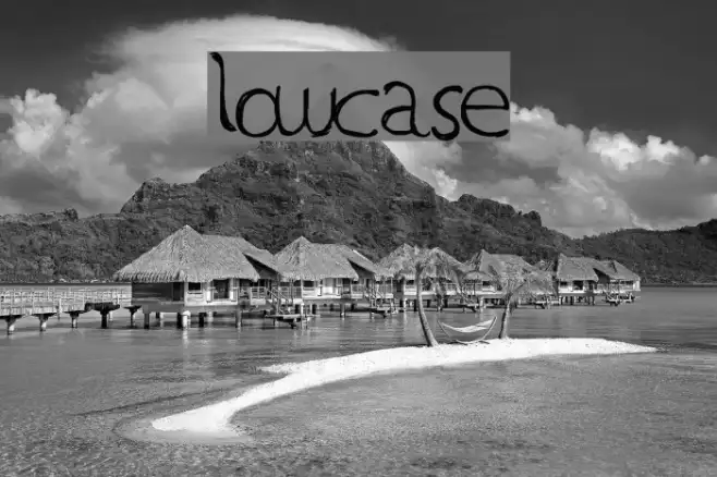 LowCase Example 1