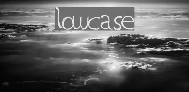 LowCase Example 2