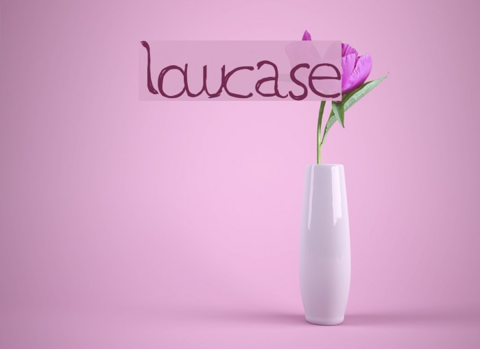LowCase Font examples