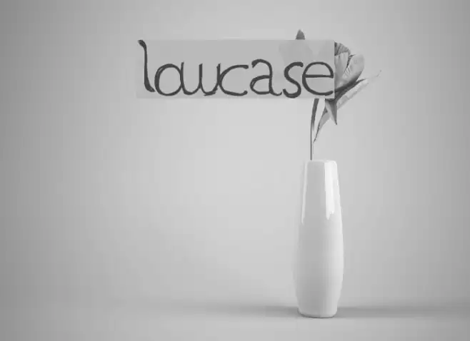 LowCase Example 3