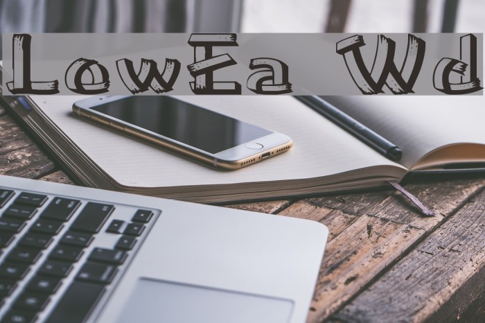 LowEa Wd Font examples