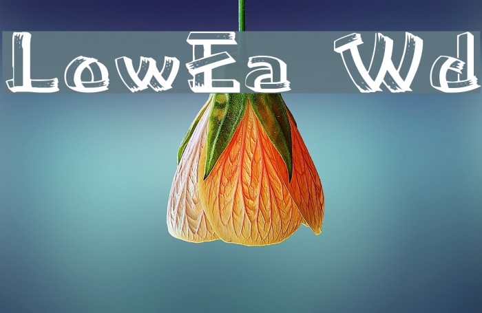 LowEa Wd Font examples