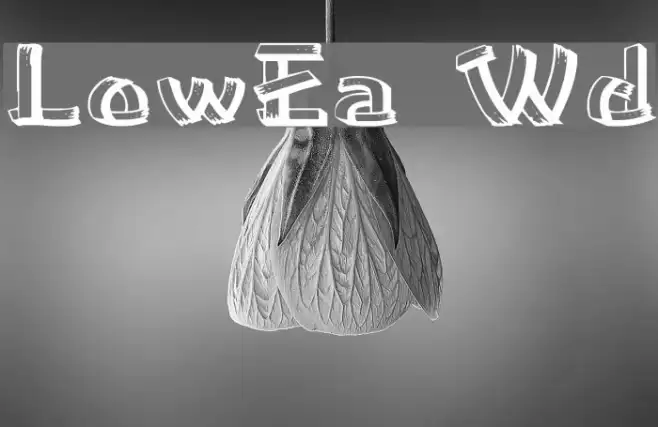 LowEa Wd Example 2