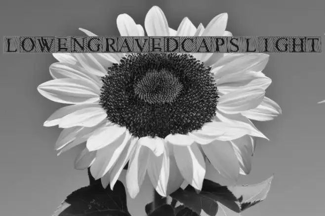LowEngravedCapsLight Example 1