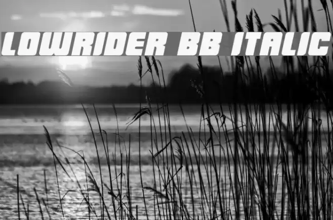 LowRider BB Italic Font examples