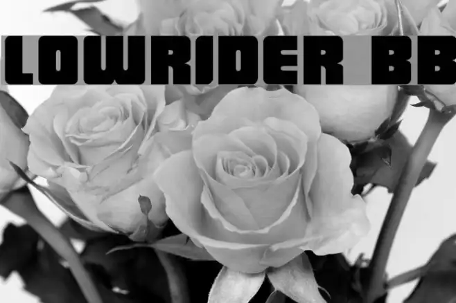 LowRider BB Example 3