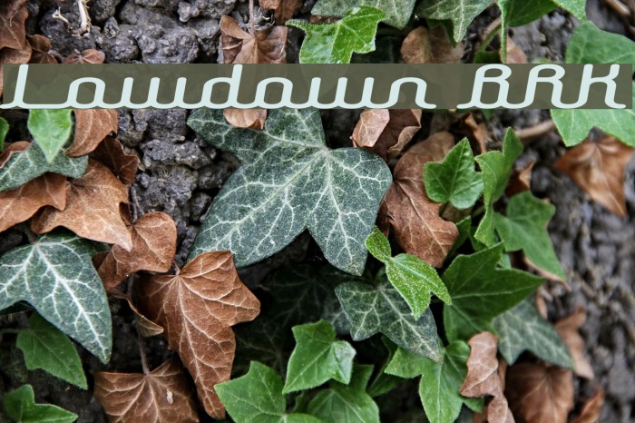 Lowdown BRK Font examples