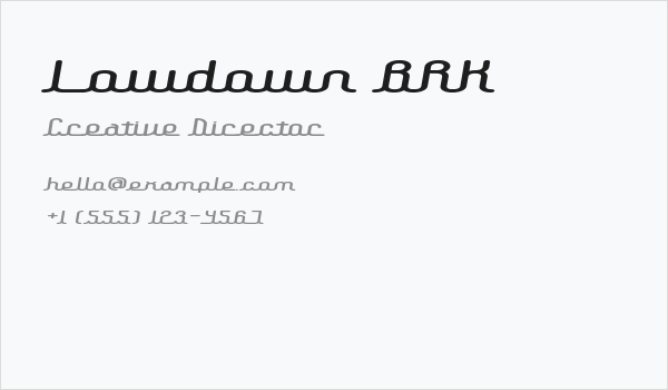 Lowdown BRK Business Card