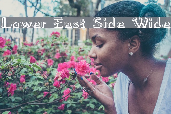 Lower East Side Wide Example 1