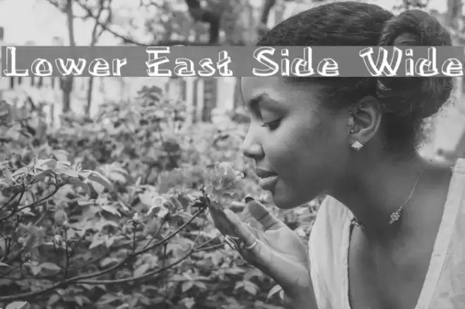 Lower East Side Wide Font examples