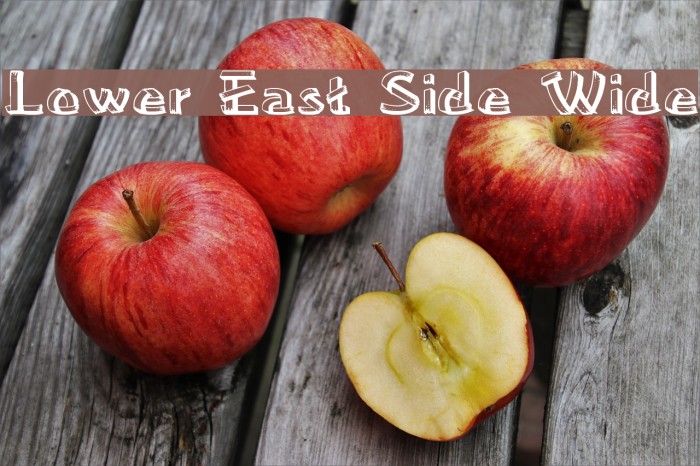 Lower East Side Wide Example 2