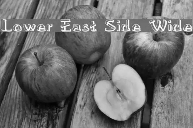 Lower East Side Wide Font examples