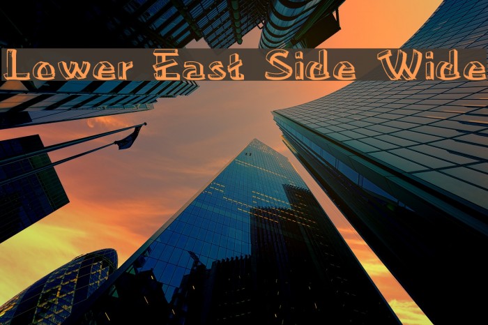 Lower East Side Wide Example 3