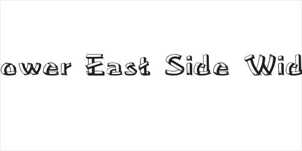 Lower East Side Wide Logo