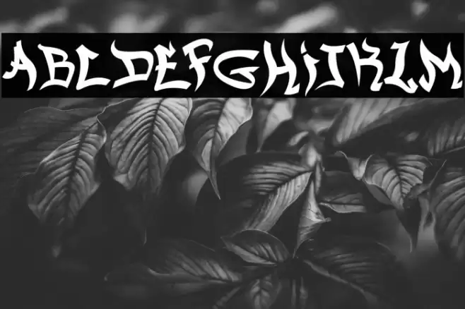 Lower East Side Font examples