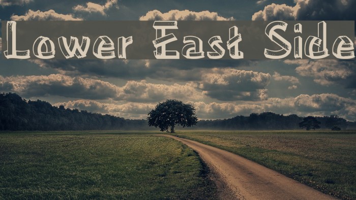 Lower East Side Example 1