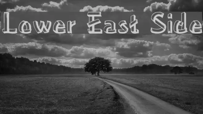 Lower East Side Font examples