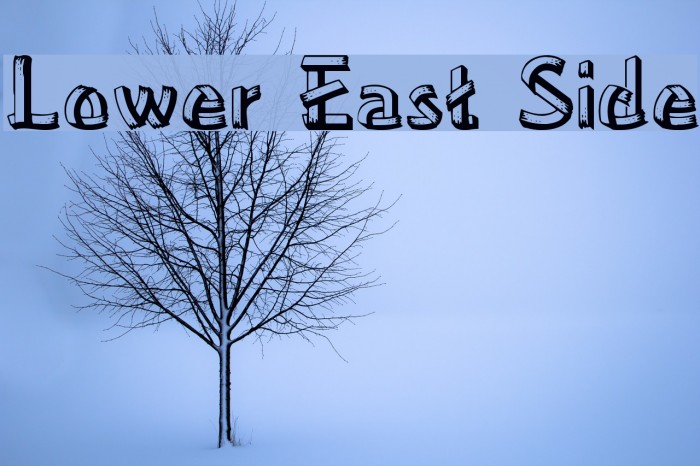 Lower East Side Example 2