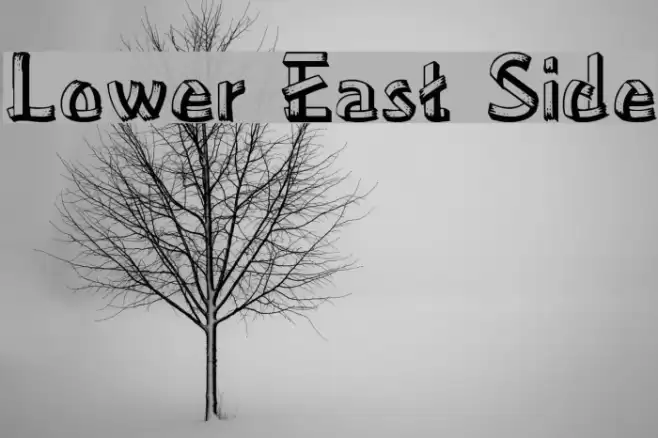 Lower East Side Font examples