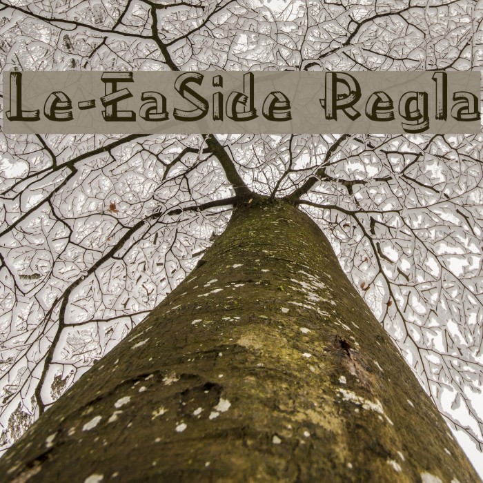 Lower-EastSide Regular Font examples