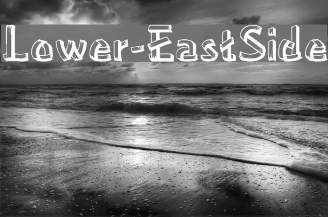 Lower-EastSide Polices examples