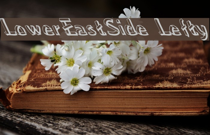 LowerEastSide Lefty Example 1