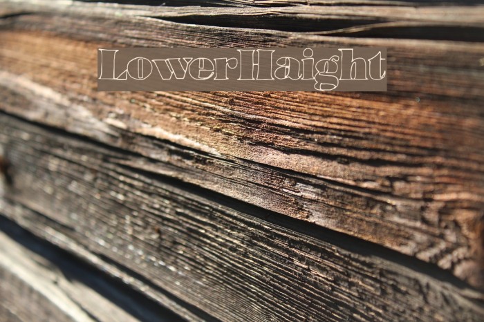LowerHaight Font examples