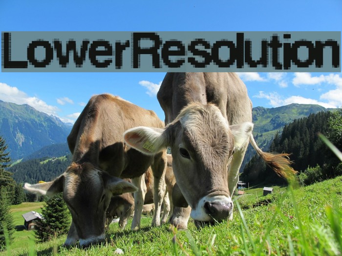 LowerResolution Font examples