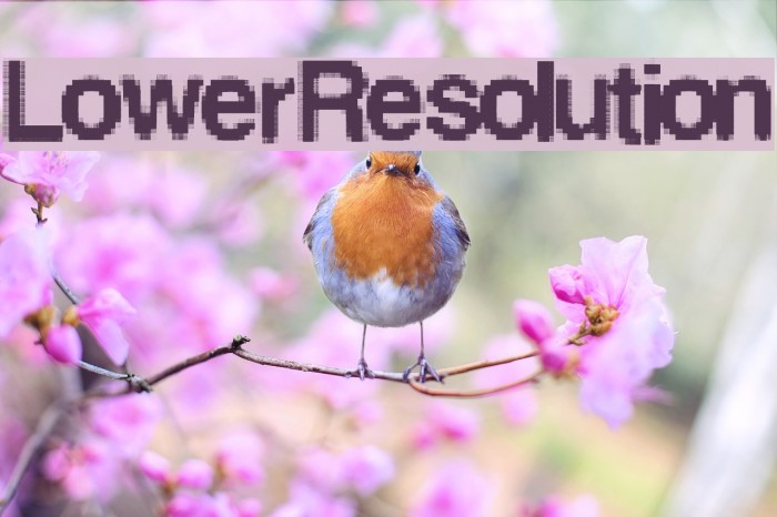 LowerResolution Font examples
