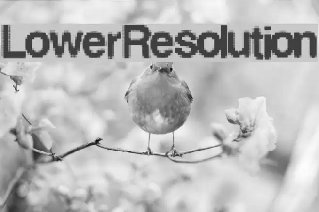 LowerResolution Font examples