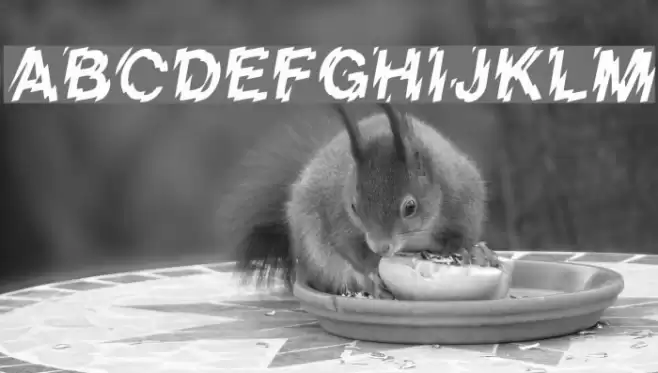 LowerWestSide Шрифта examples