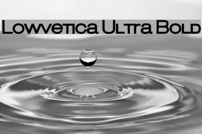 Lowvetica Ultra Bold Font examples