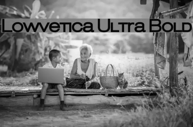 Lowvetica Ultra Bold Font examples