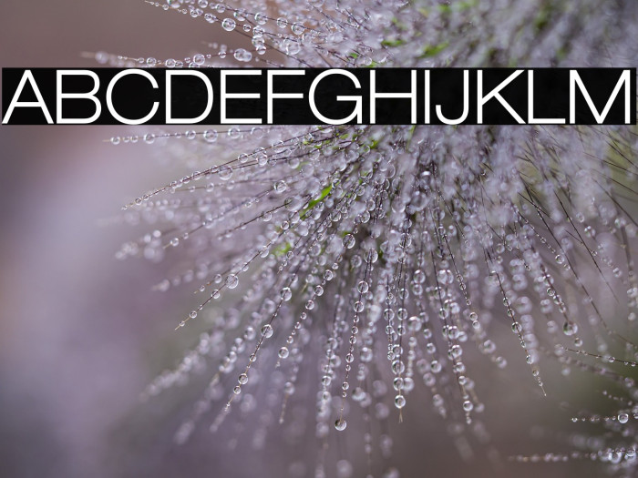 LowveticaBold Example 1