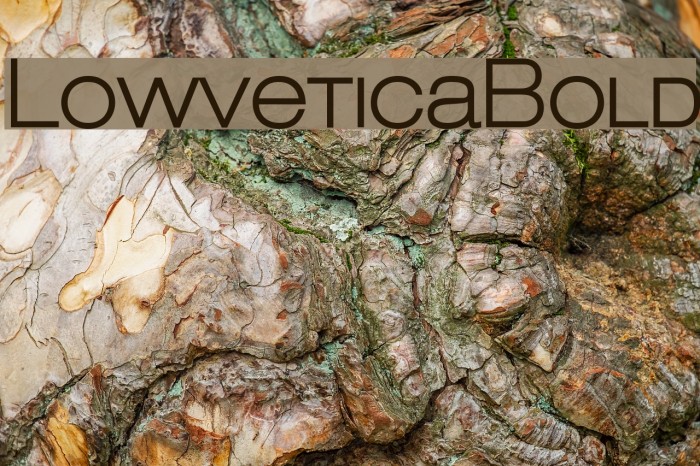 LowveticaBold Font examples