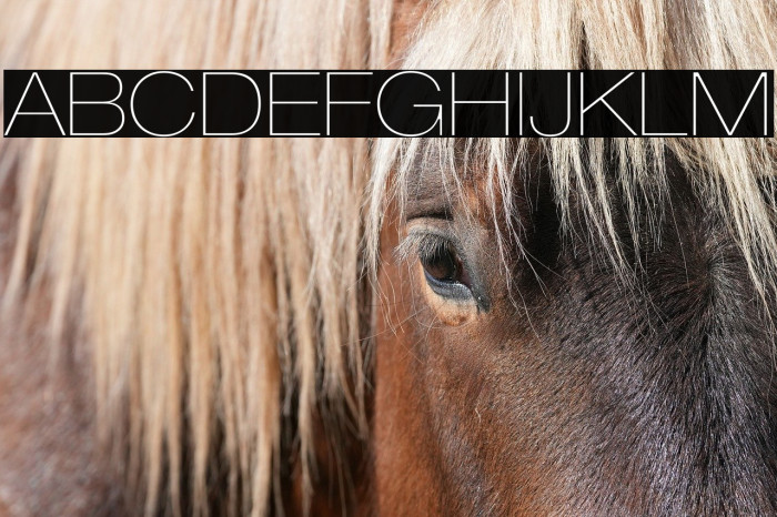 LowveticaUltraThin Example 2