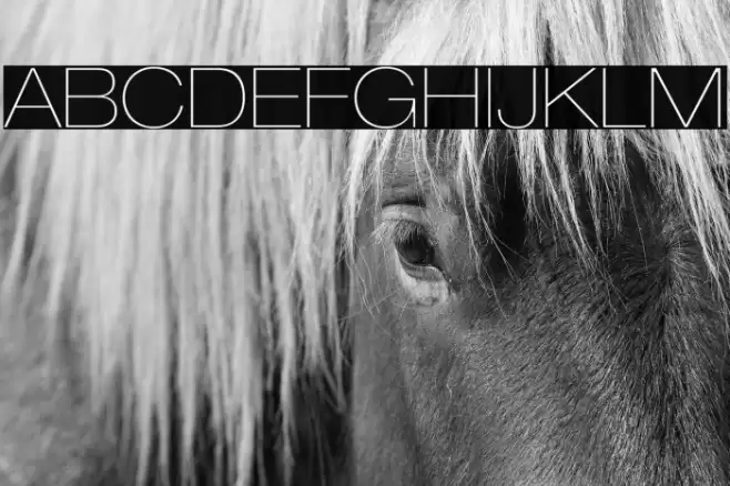 LowveticaUltraThin Font examples