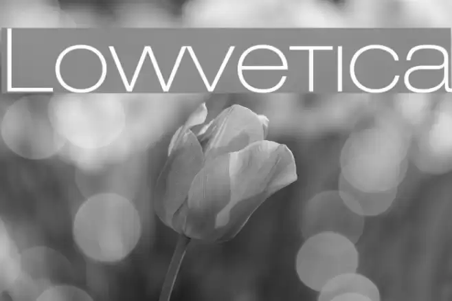 Lowvetica Font examples