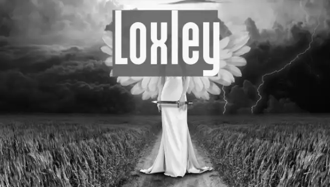 Loxley Example 2