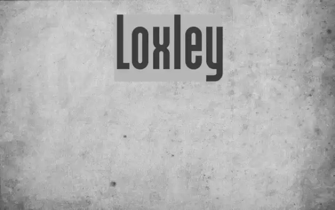 Loxley Example 3