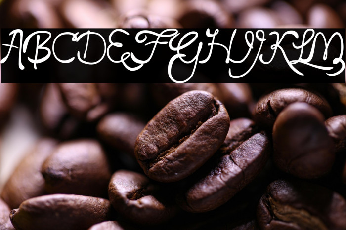 Loyal Fame Example 1