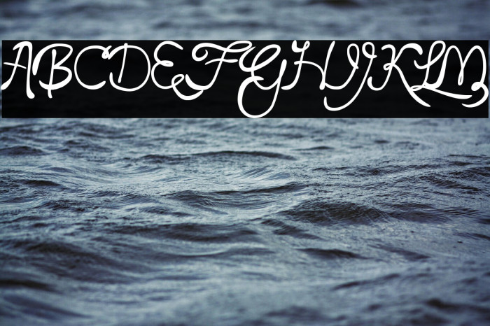 Loyal Fame Example 2